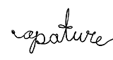 apature 2004